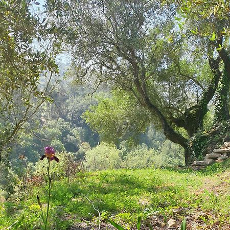 Casa Das Janelinhas - Cottage Near Sintra, Mafra, Ericeira المظهر الخارجي الصورة