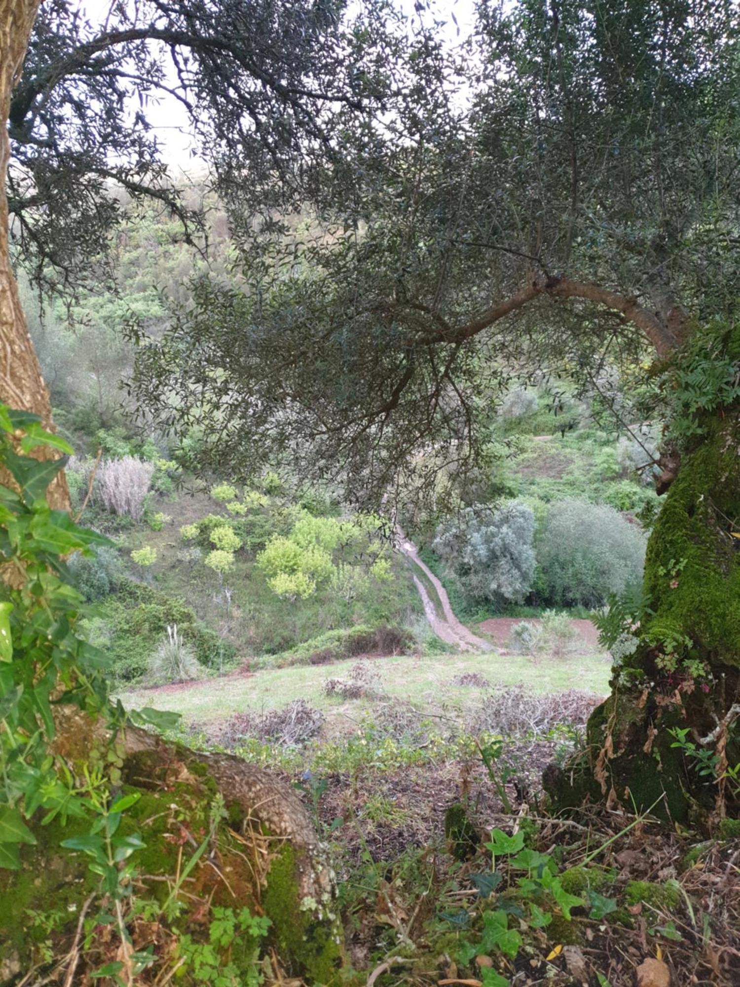 Casa Das Janelinhas - Cottage Near Sintra, Mafra, Ericeira المظهر الخارجي الصورة