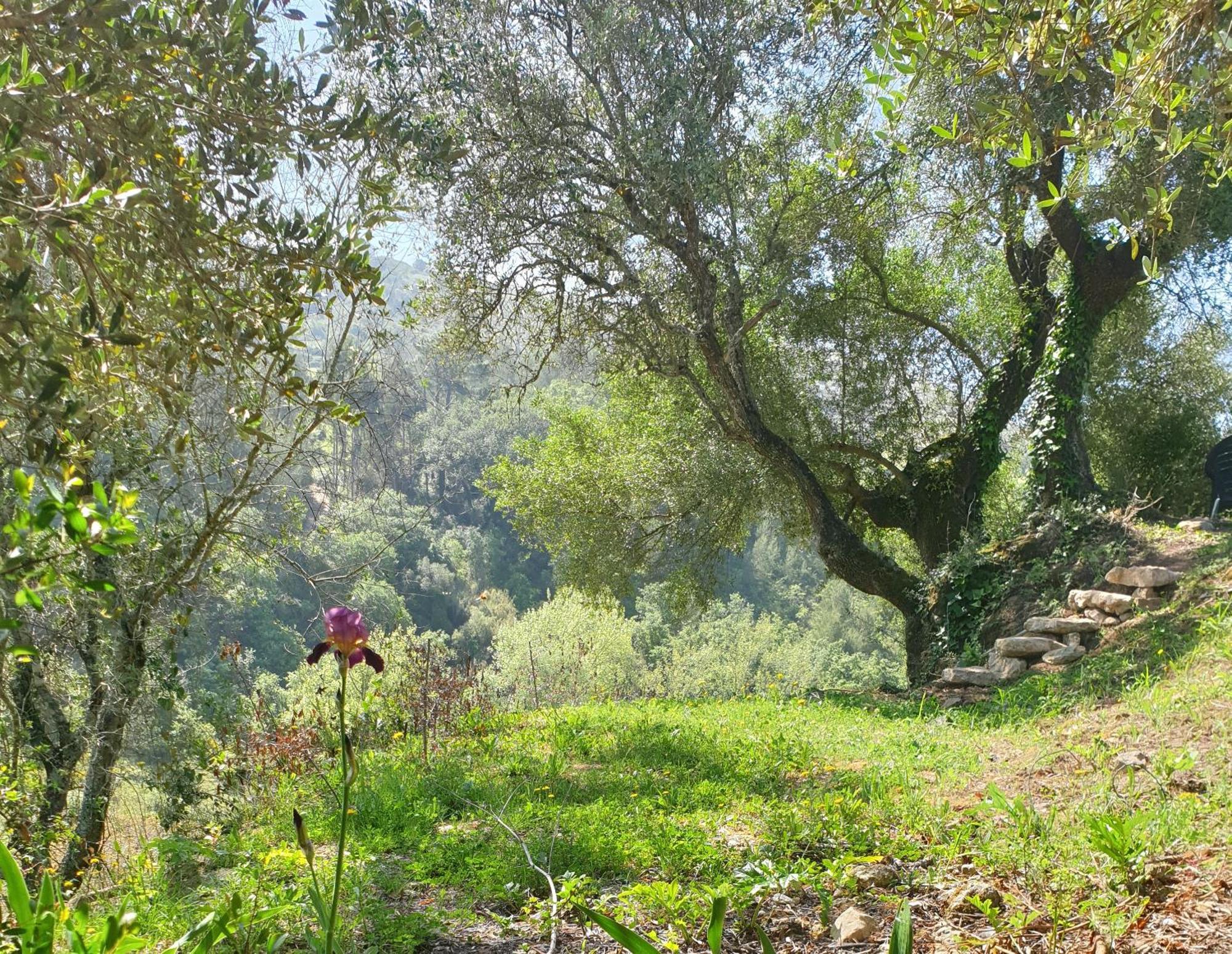 Casa Das Janelinhas - Cottage Near Sintra, Mafra, Ericeira المظهر الخارجي الصورة