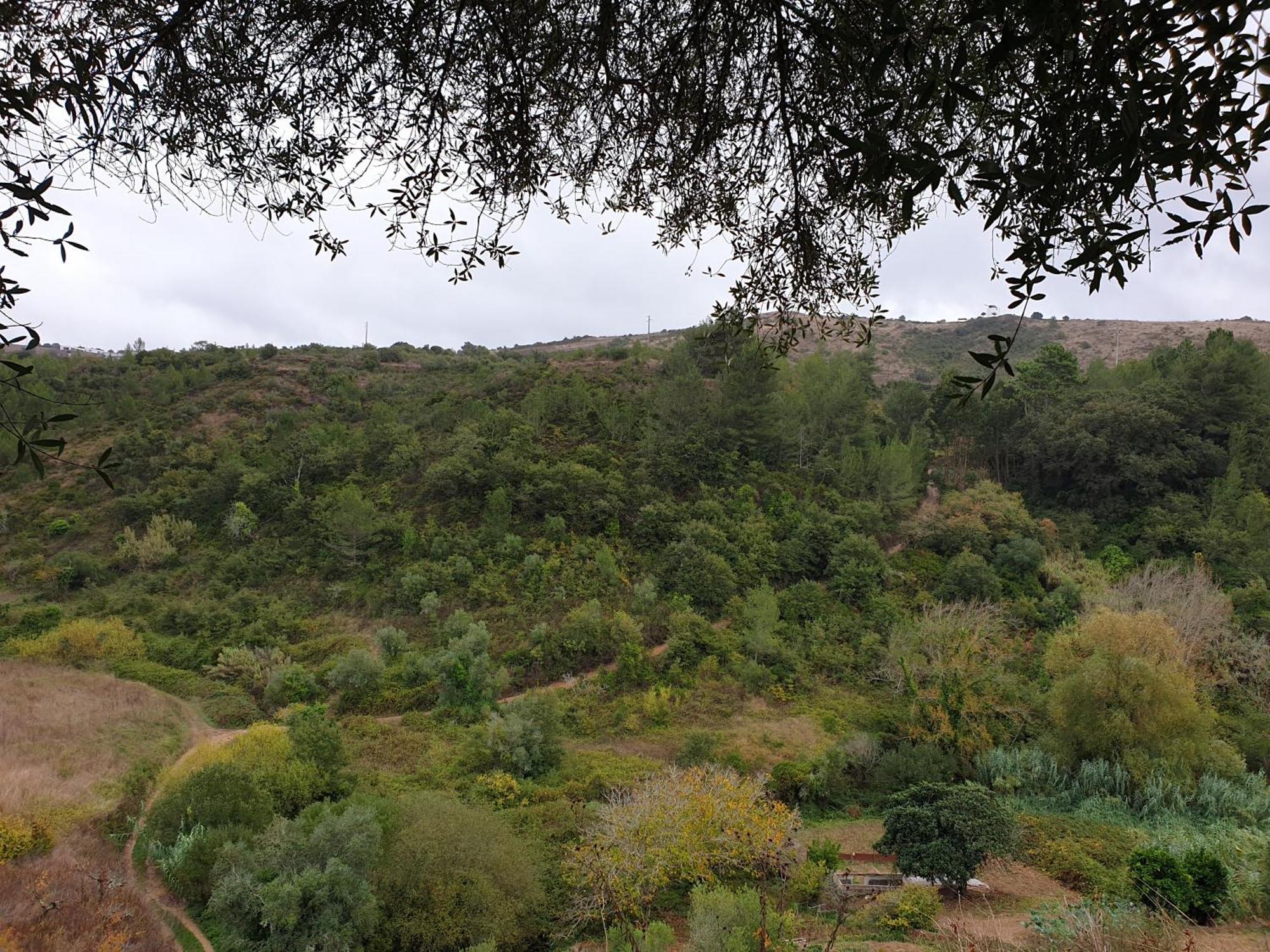 Casa Das Janelinhas - Cottage Near Sintra, Mafra, Ericeira المظهر الخارجي الصورة